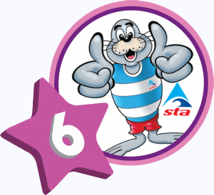 STA Stanley six logo